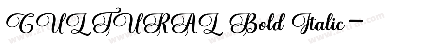 CULTURAL Bold Italic字体转换